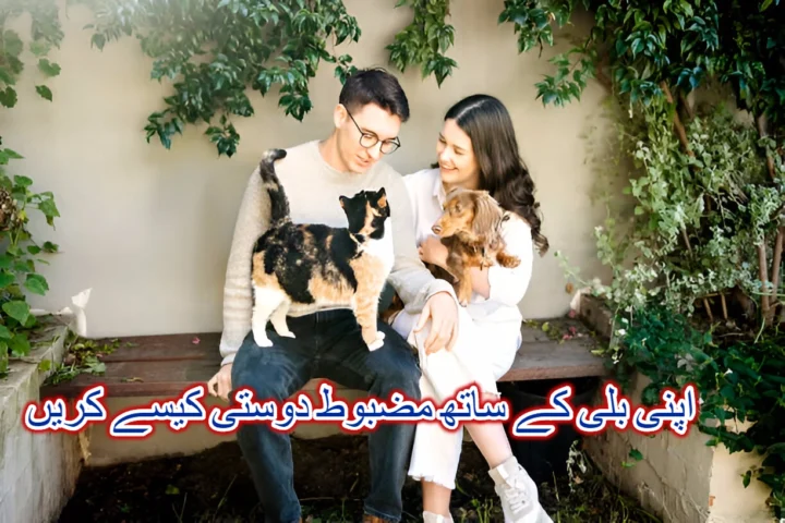 اپنی بلی کے ساتھ مضبوط دوستی کیسے کریں