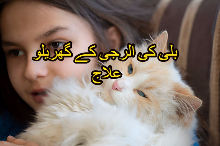 بلی کی الرجی کے گھریلو علاج
