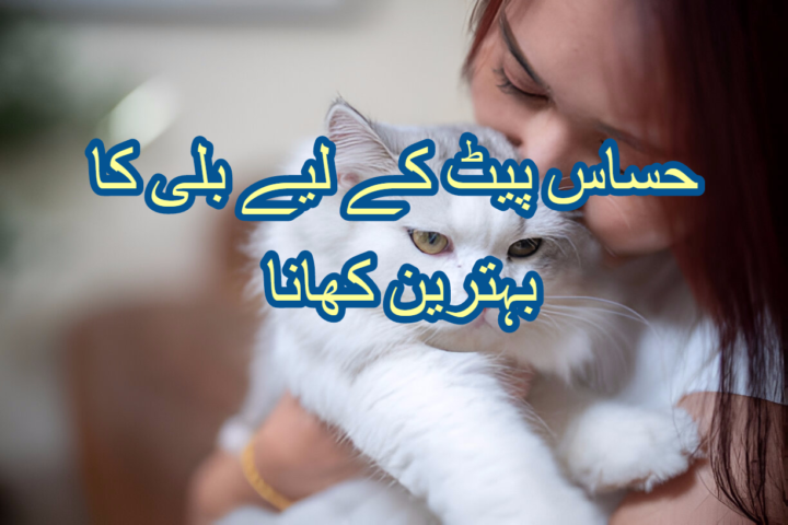 حساس پیٹ کے لیے بلی کا بہترین کھانا