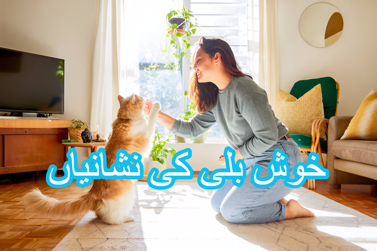 خوش بلی کی نشانیاں